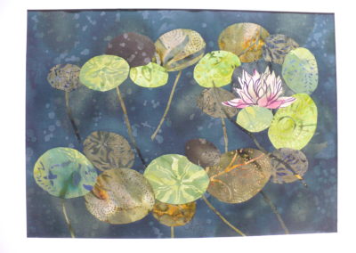 Waterlilies