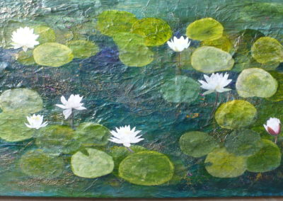 Lily Pond